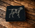 Pointer Coaster